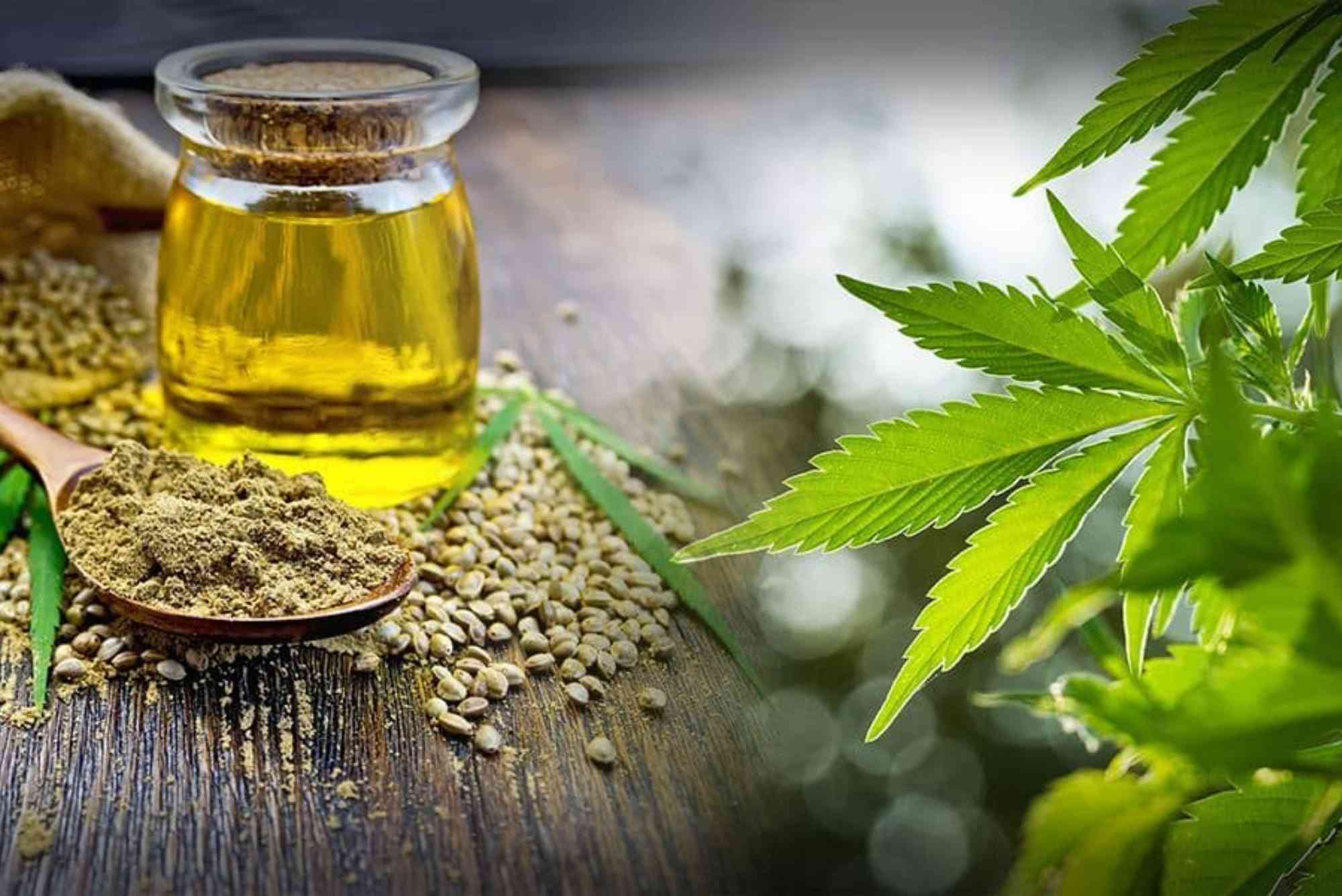 CBD Endocannabinoid UAE
