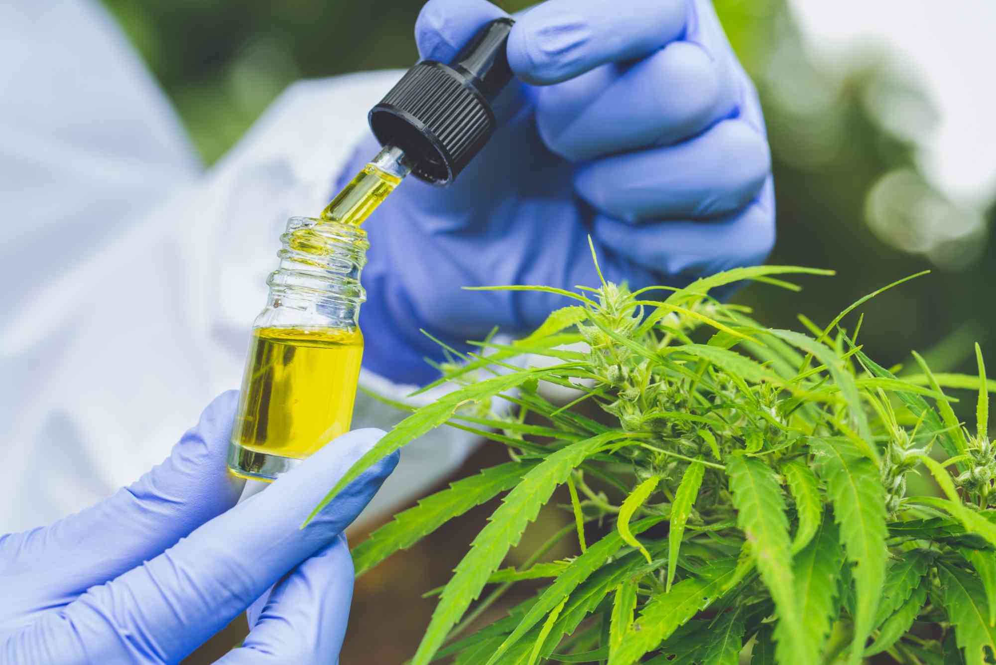 CBD Myths UAE