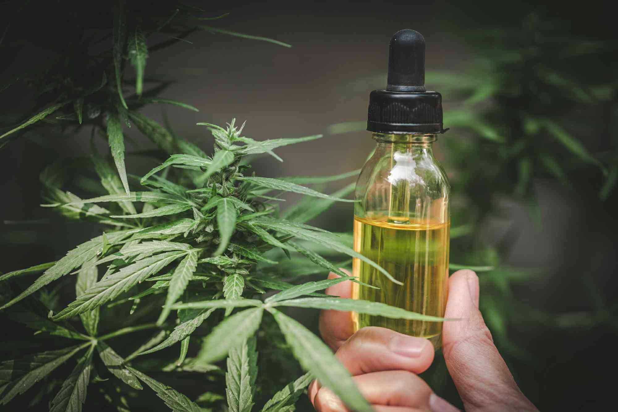 CBD Mental Health UAE