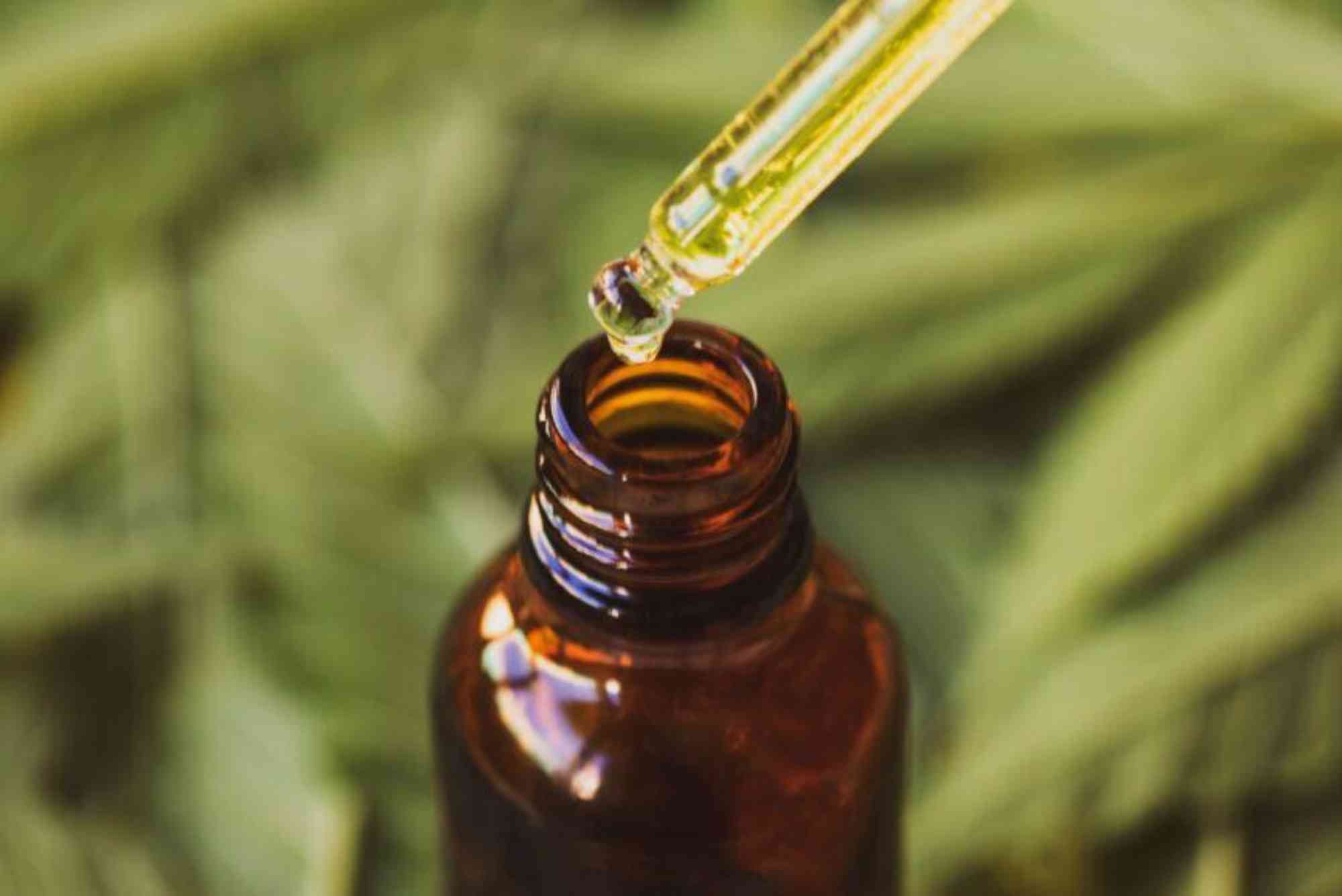 best cbd oils UAE